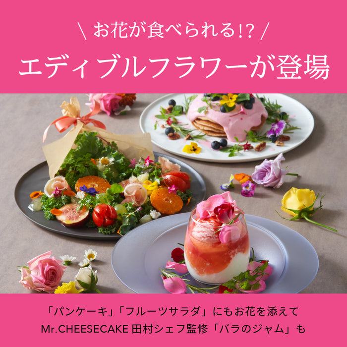 見た目にもかわいい!食べられるお花のメニューが登場♪