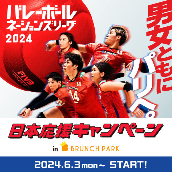 2405_BP_volleyball_banner_01-
